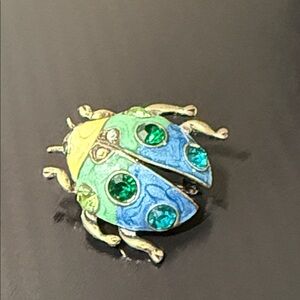 Colorful Beetle Brooch